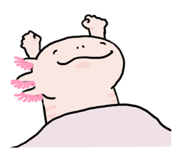 Rough axolotl,  Hanayo <English version> sticker #4412388