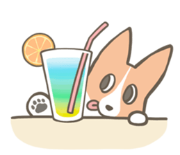 Shiro & Momo sticker #4414465