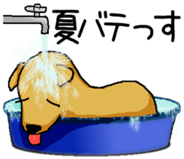 Annual Events in Japan. sticker #4415220