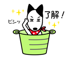 Bucket dog by Miniture bull terrier 2 sticker #4417079