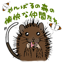 Yambaru Forest Animals