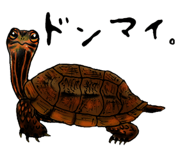 Yambaru Forest Animals sticker #4417359