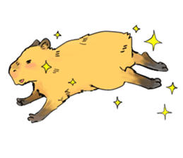 Capybara Life sticker #4420878