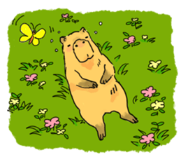 Capybara Life sticker #4420883