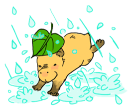 Capybara Life sticker #4420890