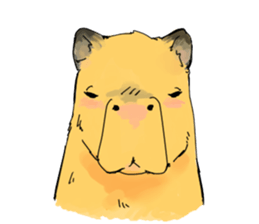 Capybara Life sticker #4420892