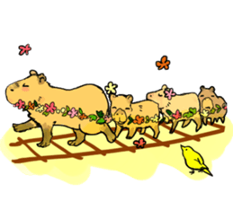 Capybara Life sticker #4420898
