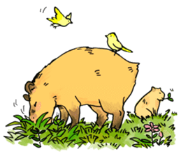 Capybara Life sticker #4420908