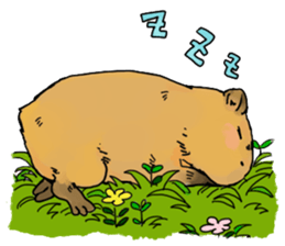 Capybara Life sticker #4420911