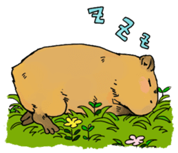 Capybara Life sticker #4420911