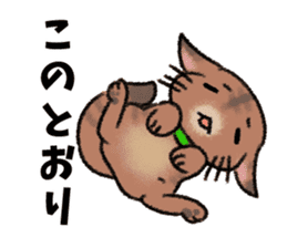 Okke Cat sticker #4423599