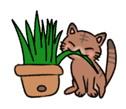 Okke Cat sticker #4423613