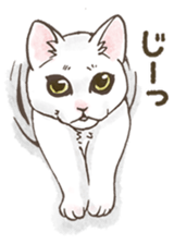 Balloon and cats sticker #4423792