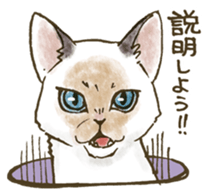 Balloon and cats sticker #4423799