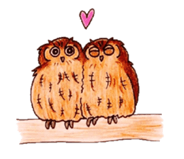 Daily small owl sticker #4423929