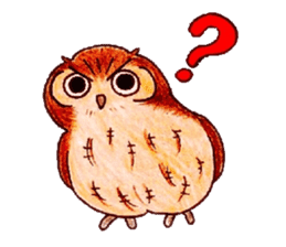 Daily small owl sticker #4423942