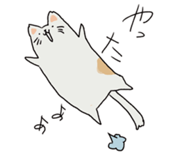 cat??? sticker #4425313