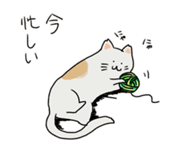cat??? sticker #4425315