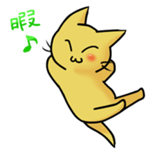 Cats story sticker #4425885