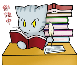 Cats story sticker #4425910