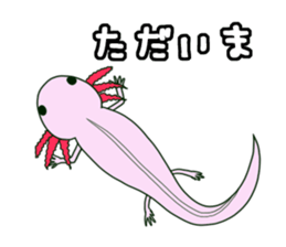 Daily Upa sticker #4432035