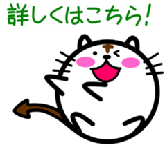 perfectly round cat 2[sometimes stretch] sticker #4432319