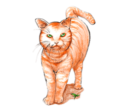 Fancy cats sticker #4436262