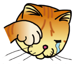 nike-neko's cat's vol.1 -face ver- sticker #4437118