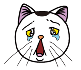 nike-neko's cat's vol.1 -face ver- sticker #4437119