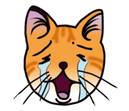 nike-neko's cat's vol.1 -face ver- sticker #4437120