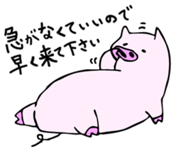 Handy Piggy - Incorrect Japanese Phrases sticker #4437841