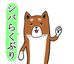 Shiba Inu that came back sticker #4439144