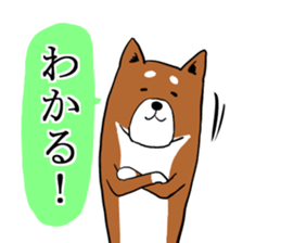 Shiba Inu that came back sticker #4439145