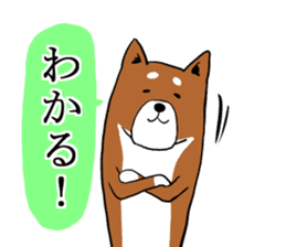 Shiba Inu that came back sticker #4439145