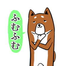 Shiba Inu that came back sticker #4439147