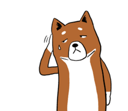 Shiba Inu that came back sticker #4439149