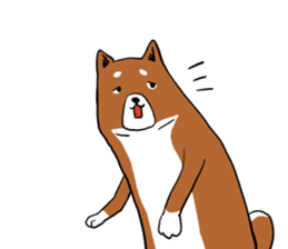 Shiba Inu that came back sticker #4439150