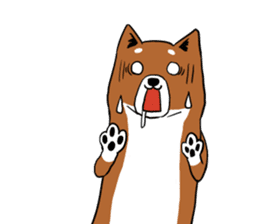 Shiba Inu that came back sticker #4439151