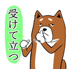 Shiba Inu that came back sticker #4439154