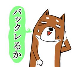 Shiba Inu that came back sticker #4439156