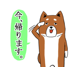 Shiba Inu that came back sticker #4439158