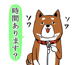Shiba Inu that came back sticker #4439160