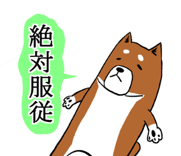 Shiba Inu that came back sticker #4439161