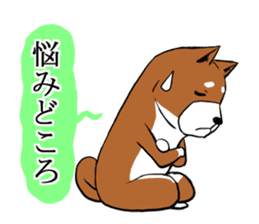 Shiba Inu that came back sticker #4439165