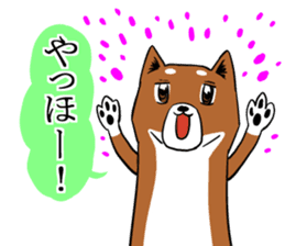 Shiba Inu that came back sticker #4439166