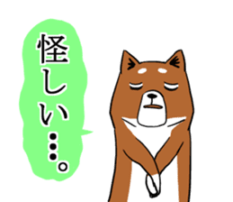 Shiba Inu that came back sticker #4439170