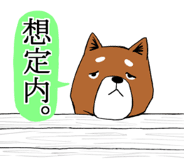 Shiba Inu that came back sticker #4439179