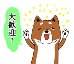Shiba Inu that came back sticker #4439180