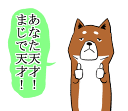 Shiba Inu that came back sticker #4439182