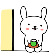 USAKYUN without the characters sticker #4440574